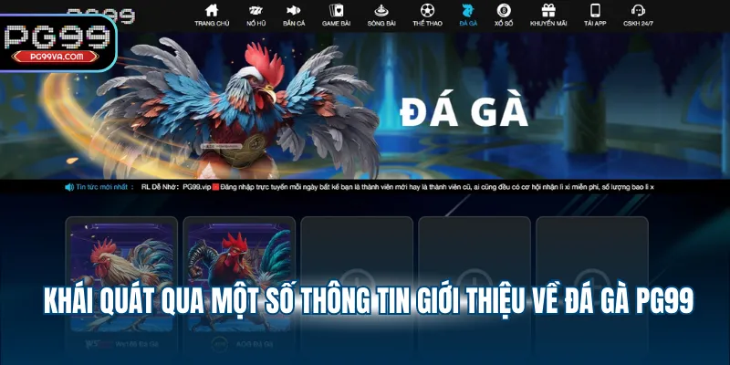 Khái quát qua một số thông tin giới thiệu về đá gà PG99